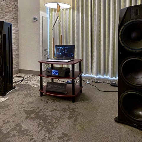 超稀少‼️Ohm/Walsh 5/Sound Den Tunes 仕様‼️無指向性‼️ 超稀少‼️Ohm/Walsh 5/Sound Den Tunes 仕様‼️無指向性‼️ Ohm